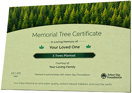 Plant Trees in Memory of Charlie Martin